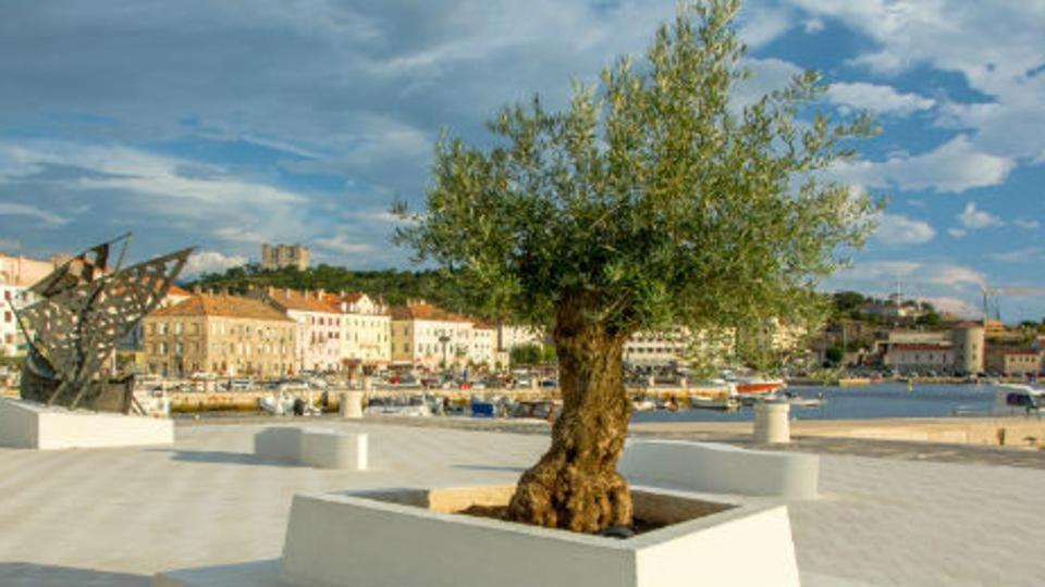 Apartman Marina Senj  Exterior foto